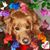 Linda Moody's profile image