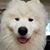 John Hunnicutt's profile image