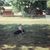 Brook Terrell's profile image