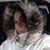 Missy Deutsch's profile image