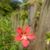Sheila Kelley's profile image