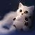 Andrea Towler's profile image