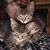 Kathy Matson's profile image