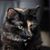 Janie Lynn Davis's profile image