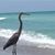Charlene Coval Reyes's profile image