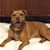 Katrina Michelle Nordin Tarver's profile image