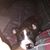Tim Harriman's profile image