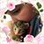 Deborah Deggs Cariker's profile image