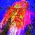 Andy Bader's profile image