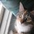 Virginie Dufour's profile image