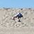 Robert Tyler Uetz's profile image