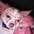 John Helton's profile image