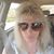 Christina Gardner's profile image