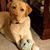 Barb VanDuzer's profile image