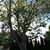 Donna Pauly Gorham's profile image