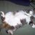 Holly Burns's profile image