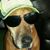 Paris Rose Degate's profile image