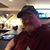 Michael Gilsinger's profile image