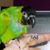 Debbie Degenhardt's profile image