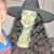 Jemille Williams's profile image