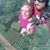 Tara Waltemyer's profile image