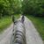 Pam Vietz Hammer's profile image