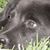 John Hoerter's profile image