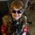Sharon Ferris Klyn's profile image
