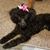 Dwayna Styron's profile image