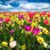 Brenda Zimmer's profile image