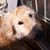 Dale Warrick's profile image