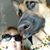 Patricia Derby Duncan's profile image