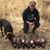 Anders Kristoffer Kvarnberg's profile image