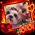 Madeline Guzman's profile image