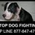 Holly Smith's profile image