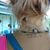 Justine Pacquer's profile image