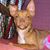 Krystle Anne Kinard's profile image