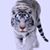 James Lee Walton's profile image