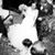 Antonio Jenny's profile image