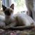 Sharon Lunney's profile image