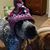 Becky Brown's profile image