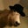 Amy Shelburn-Zarins's profile image