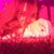 Xitlaly Ortega's profile image