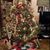 Kimberly Campbell-Berg's profile image