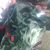 Jason Everley's profile image