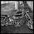 Billy Harley's profile image
