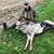 Jason Schiefla's profile image