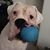Julie Rabin Miller's profile image