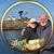 Debbi Burnett-Bailey's profile image