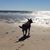Toni LaMarca-Lindner's profile image